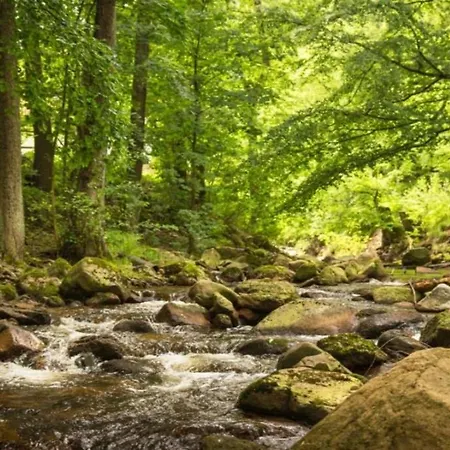 Nexoe, 45 Qm, 1 Schlafzimmer N5 Holiday home Ilsenburg