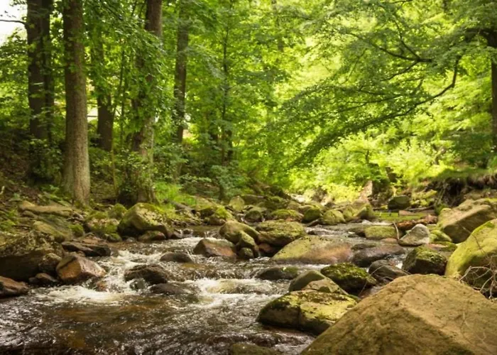 Nexoe, 45 Qm, 1 Schlafzimmer N5 Semesterbostad Ilsenburg