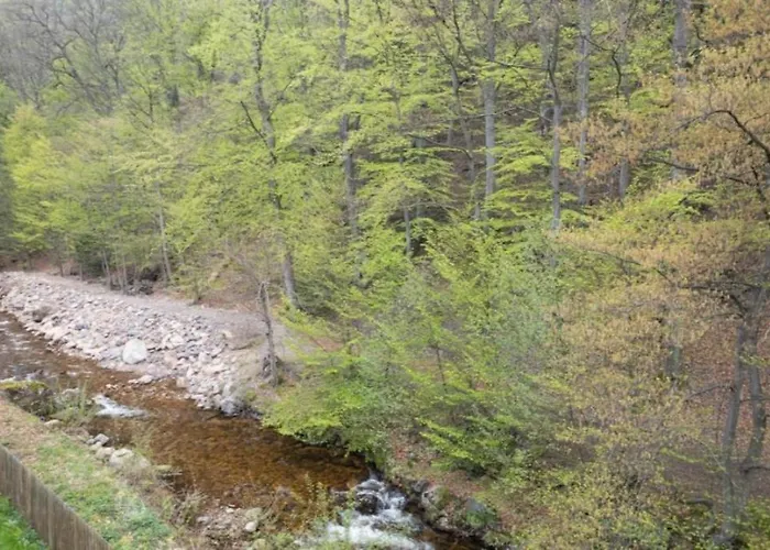 Nexoe, 45 Qm, 1 Schlafzimmer N5 Semesterbostad Ilsenburg